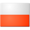 Poznanski/Miszczuk flag